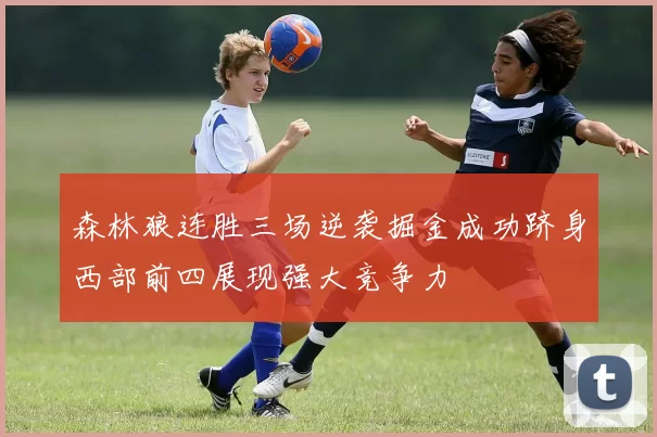 森林狼连胜三场逆袭掘金成功跻身西部前四展现强大竞争力