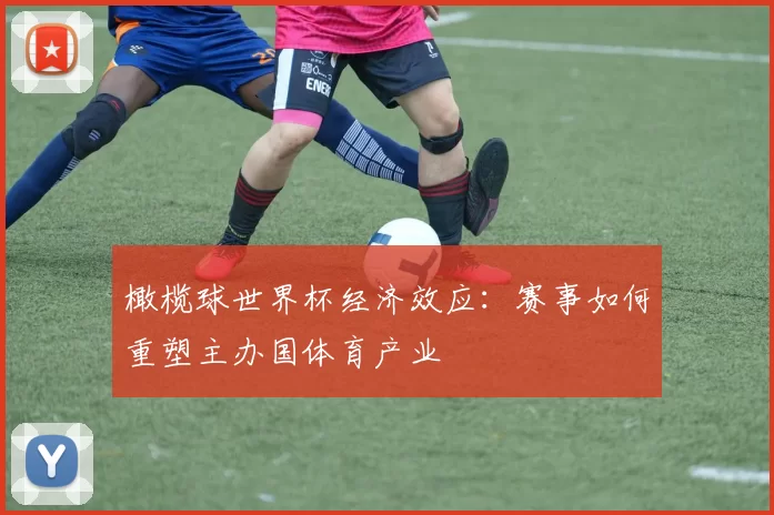 橄榄球世界杯经济效应：赛事如何重塑主办国体育产业