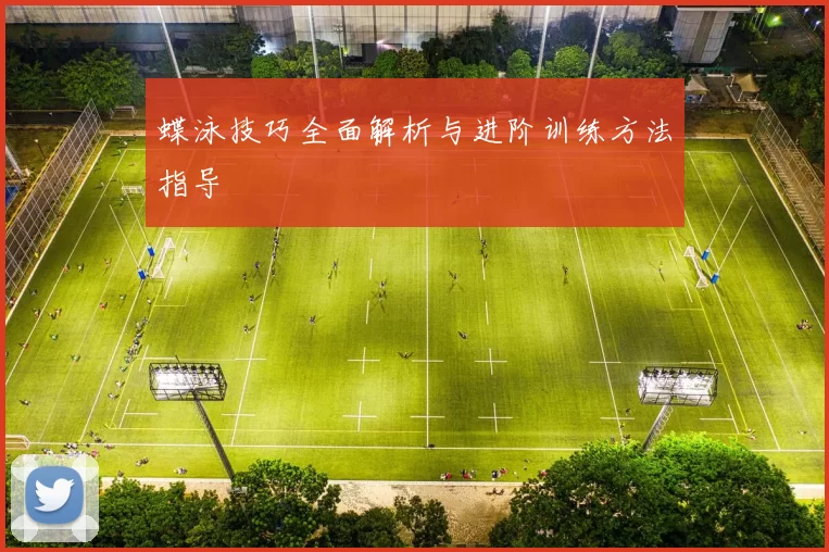 蝶泳技巧全面解析与进阶训练方法指导