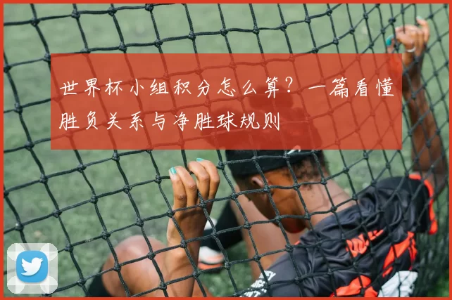 世界杯小组积分怎么算？一篇看懂胜负关系与净胜球规则
