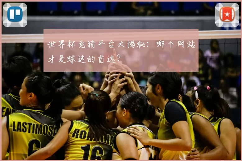 世界杯竞猜平台大揭秘：哪个网站才是球迷的首选？