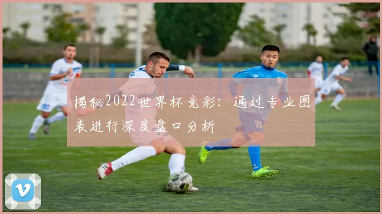 揭秘2022世界杯竞彩：通过专业图表进行深度盘口分析