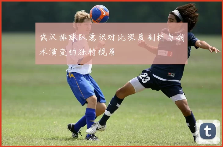 武汉排球队意识对比深度剖析与战术演变的独特视角