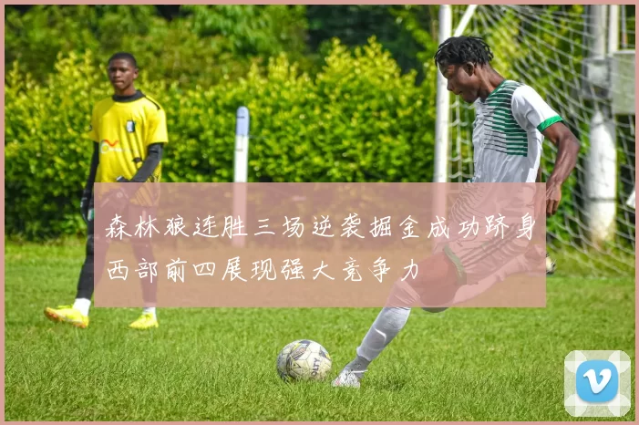 森林狼连胜三场逆袭掘金成功跻身西部前四展现强大竞争力