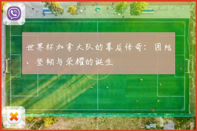 世界杯加拿大队的幕后传奇：团结、坚韧与荣耀的诞生