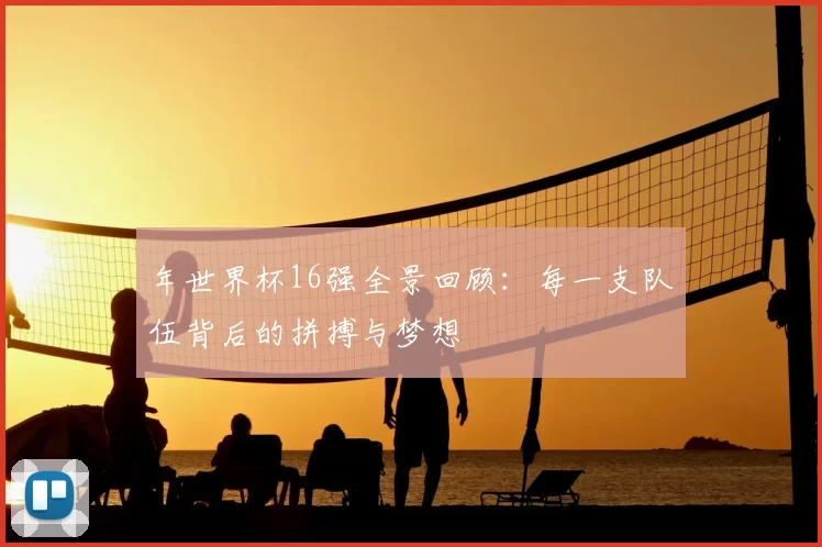 年世界杯16强全景回顾：每一支队伍背后的拼搏与梦想