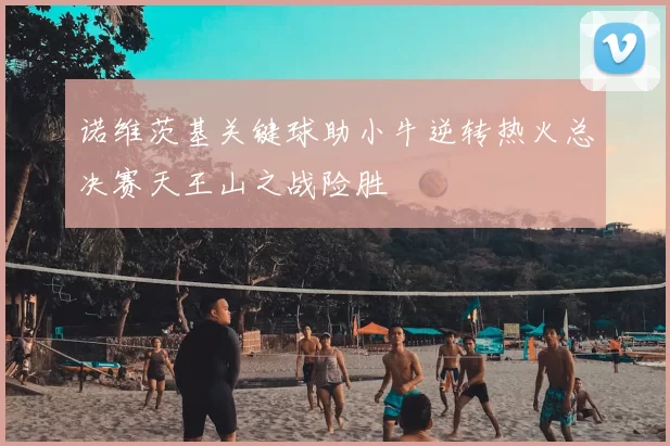 诺维茨基关键球助小牛逆转热火总决赛天王山之战险胜