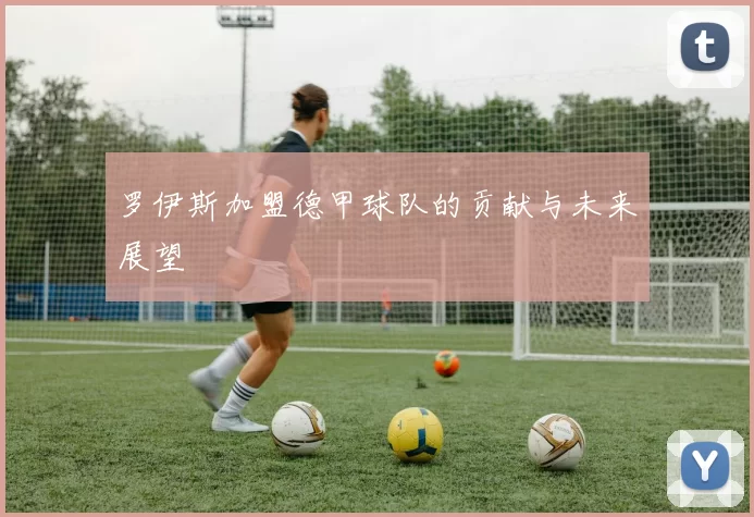 罗伊斯加盟德甲球队的贡献与未来展望