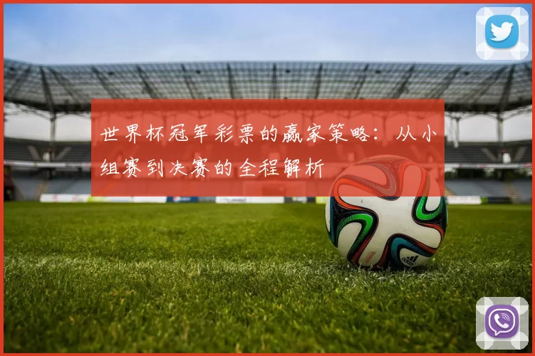 世界杯冠军彩票的赢家策略：从小组赛到决赛的全程解析