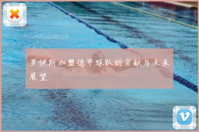 罗伊斯加盟德甲球队的贡献与未来展望