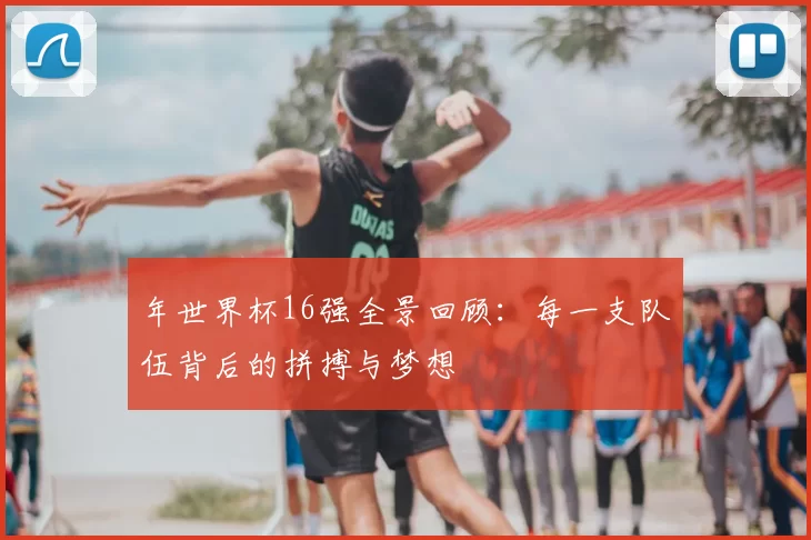 年世界杯16强全景回顾：每一支队伍背后的拼搏与梦想