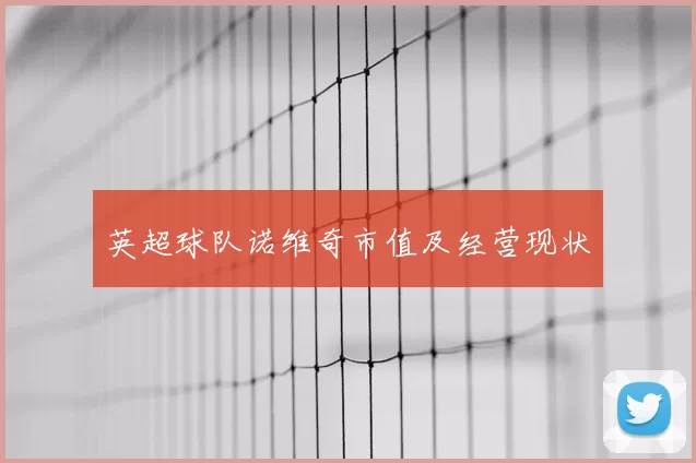 英超球队诺维奇市值及经营现状