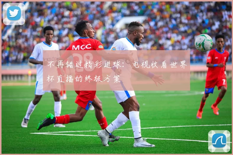 不再错过精彩进球：电视收看世界杯直播的终极方案