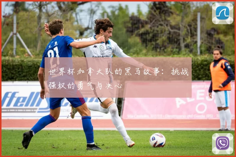 世界杯加拿大队的黑马故事：挑战强权的勇气与决心