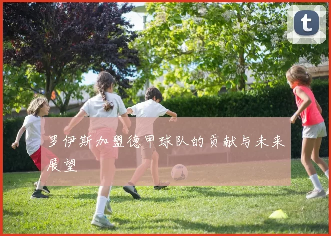 罗伊斯加盟德甲球队的贡献与未来展望