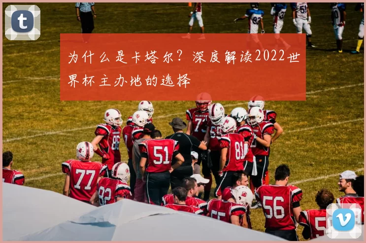 为什么是卡塔尔？深度解读2022世界杯主办地的选择