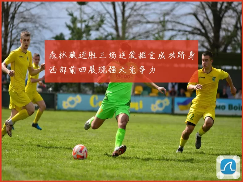 森林狼连胜三场逆袭掘金成功跻身西部前四展现强大竞争力
