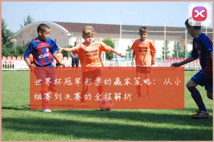 世界杯冠军彩票的赢家策略：从小组赛到决赛的全程解析