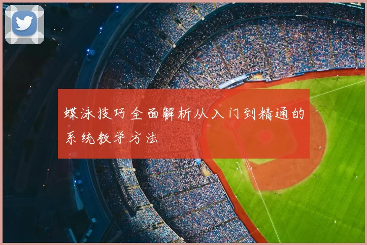蝶泳技巧全面解析从入门到精通的系统教学方法