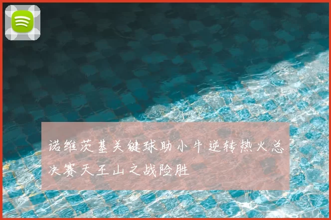 诺维茨基关键球助小牛逆转热火总决赛天王山之战险胜