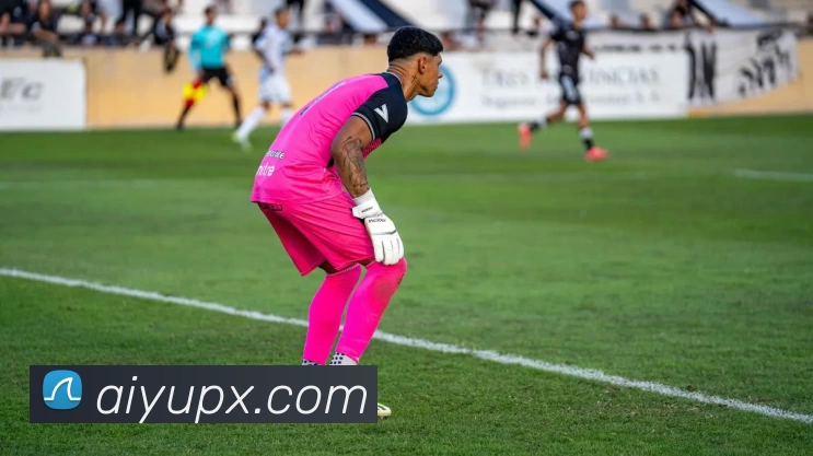 乐鱼体育发展历程